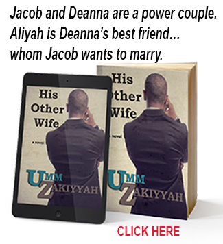 His Other Wife novel