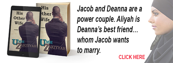 His Other Wife novel