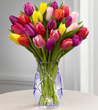 Bouquet of tulips
