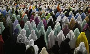 hajjis