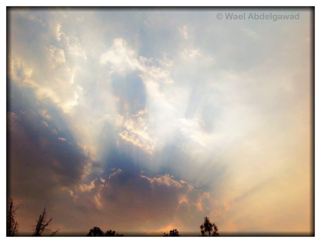 Looking to Allah to save me