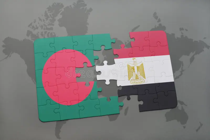 Arab Spring and South Asia - Bangladesh