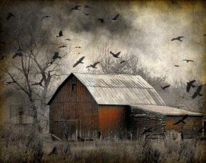 Scary barn
