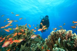 shutterstock_103891703